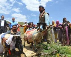 Hakkari’de Geleneksel Düğün Seremonisindeki Şaşırtıcı Detaylar